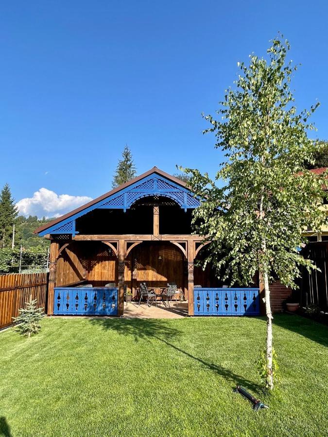 Vila Luminita Singeorz-Bai Dış mekan fotoğraf