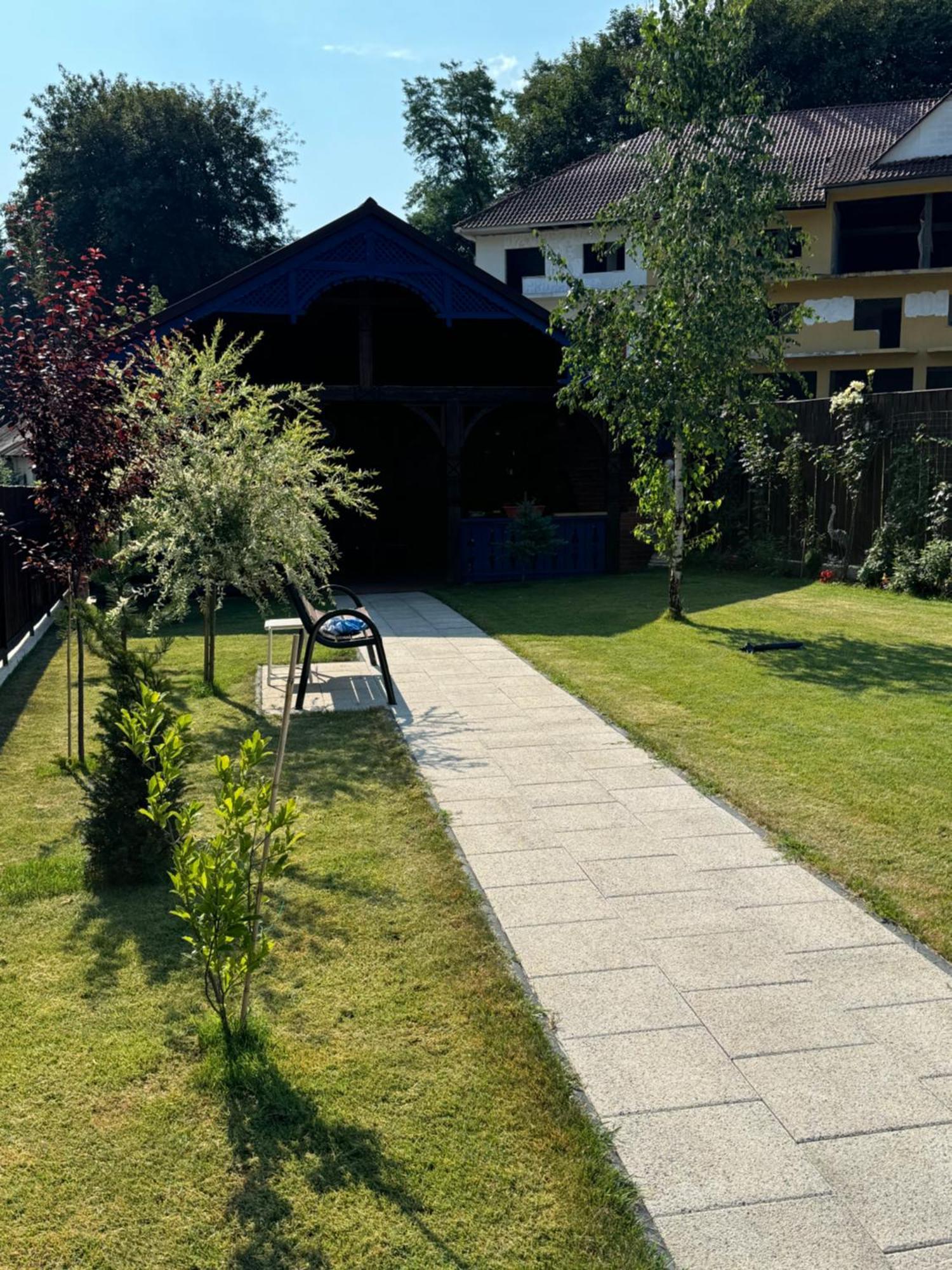 Vila Luminita Singeorz-Bai Dış mekan fotoğraf