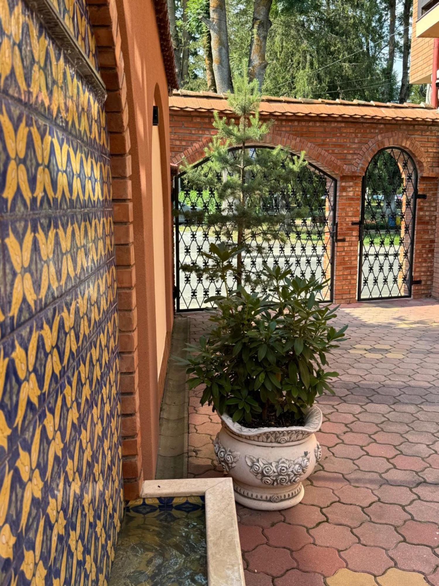 Vila Luminita Singeorz-Bai Dış mekan fotoğraf
