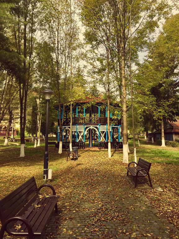 Vila Luminita Singeorz-Bai Dış mekan fotoğraf
