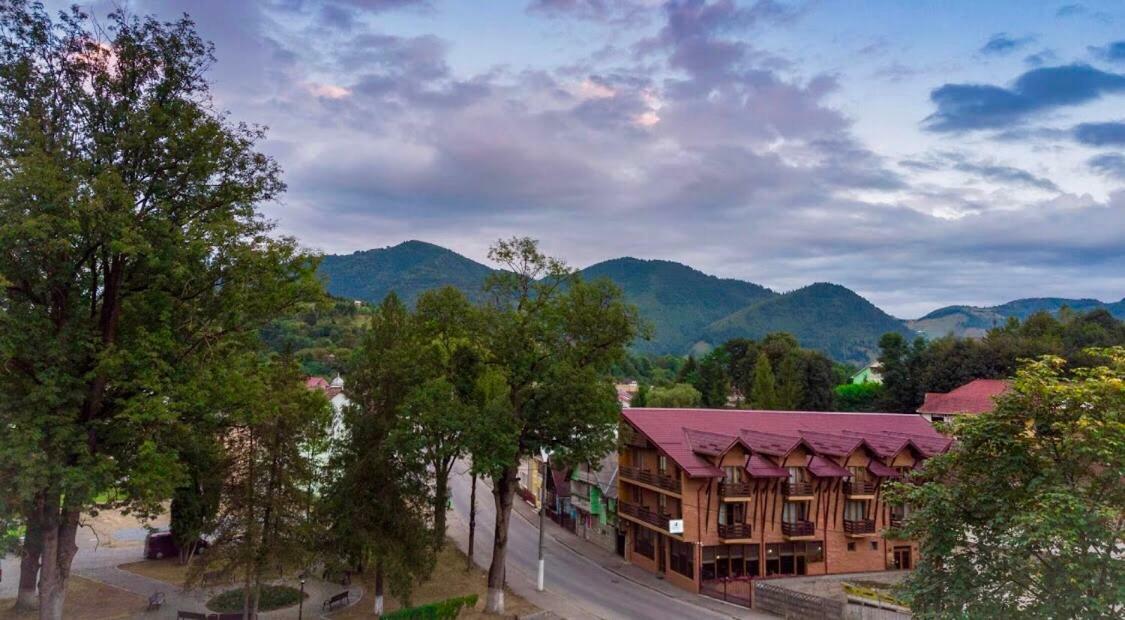 Vila Luminita Singeorz-Bai Dış mekan fotoğraf
